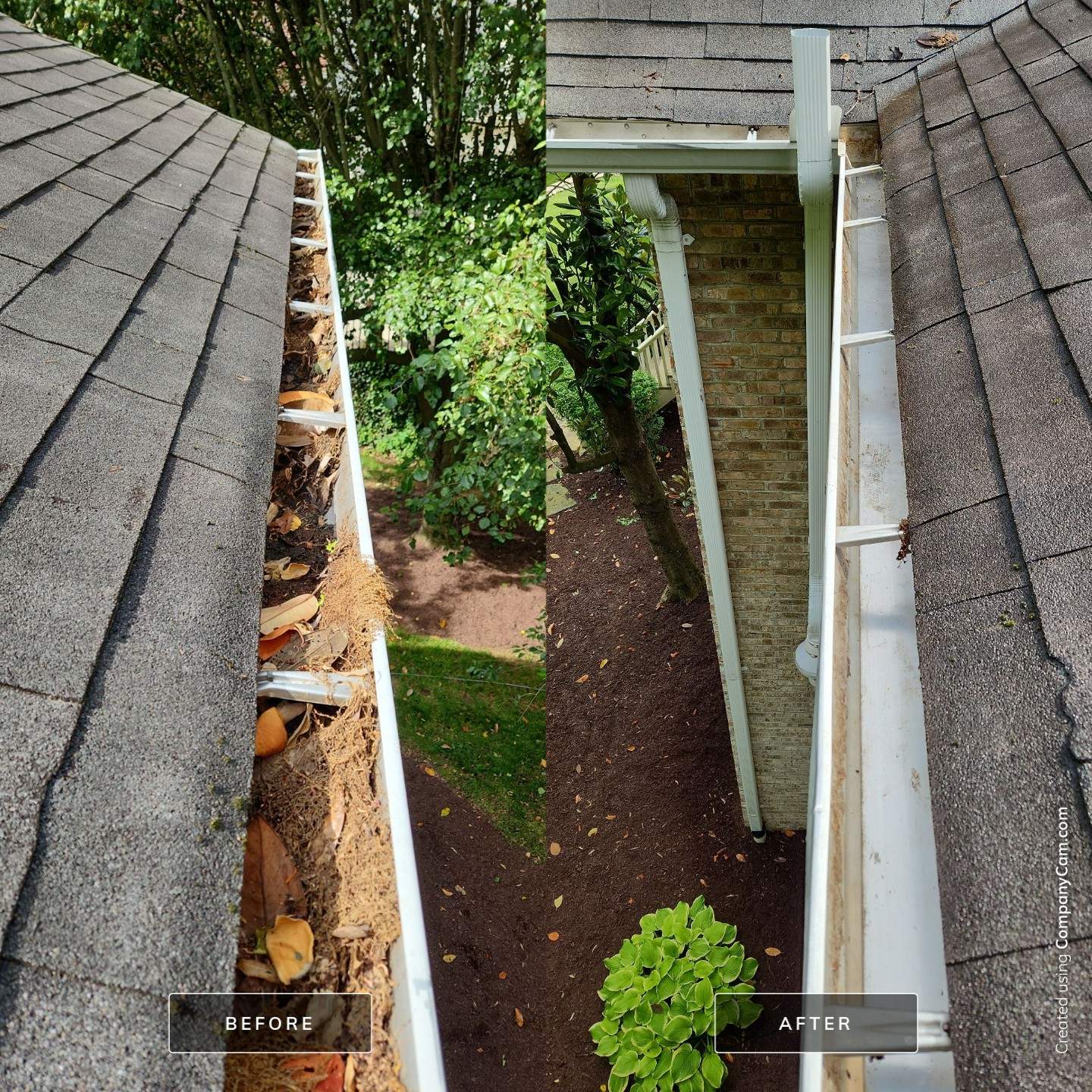 Gutter Cleaning Greeneville TN